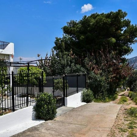 Μονοκατοικία Δίπλα Στην Θάλασσα Đảo Đảo Salamis Ngoại thất bức ảnh